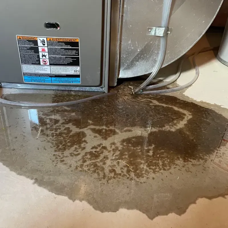 Appliance Leak Cleanup in Argos, IN